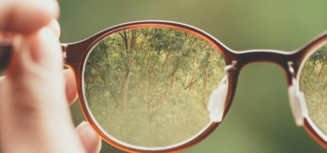 person holding brown eyeglasses with green trees background by Bud Helisson courtesy of Unsplash.